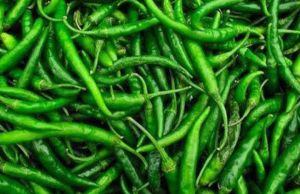 Green Chilli