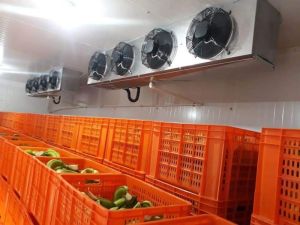 Cold Storage Rooms