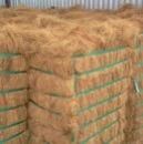 Coir Fibre