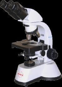 Pathological Microscope