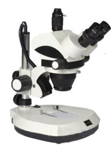 Trinocular Stereo Zoom Microscope