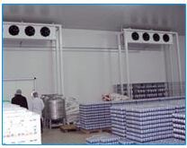 Dairy Products Cold Room