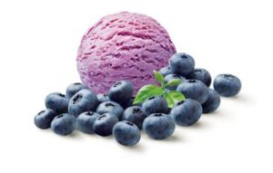 Blueberry Ice Cream