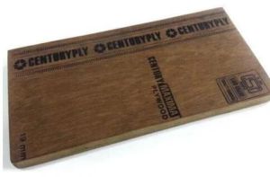 century plywood