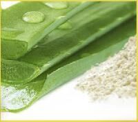 aloe vera formulations