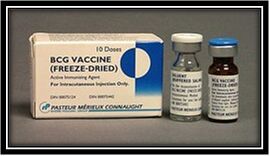 B C G Vaccine