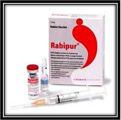 rabies vaccine