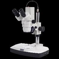 Stereoscopic Microscope