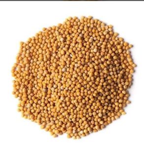 Mustard Seeds