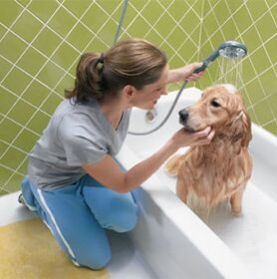 Pet Care Products & Pet Hygiene Products