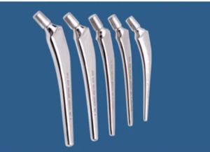 Muller Stem Hip Prosthesis