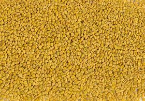 Fenugreek Seeds