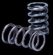 Stainless Steel Springs