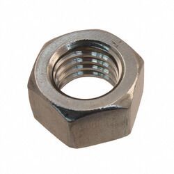 SS Hex Nut