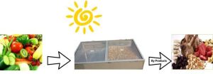 Solar Dehydrator