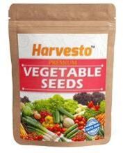 Vegetable Seeds