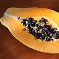 Papaya