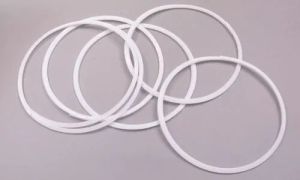 PTFE back up ring