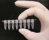 Pcr Tubes