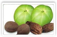 Triphala Herbal Extract