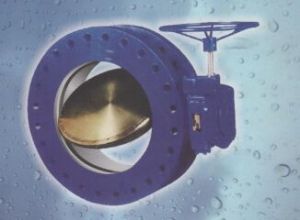 Butterfly Valve