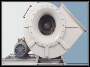 ACL FRP BLOWER