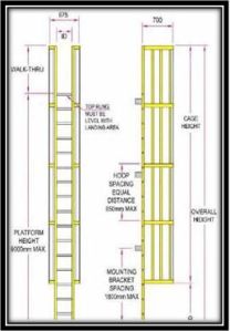Acl Safety Ladder System