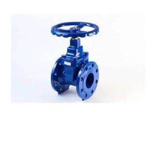 Cast Iron Gate Valve