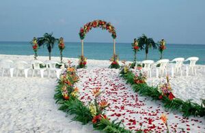 Beach Wedding Planner