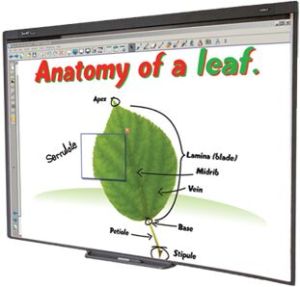 SMART Interactive whiteboard