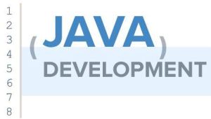 java development services