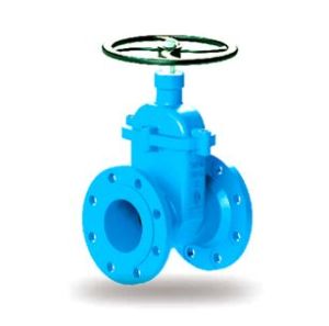 Resilient Seated Gate Valve