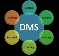 Document Management System