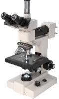 Trinocular Microscope