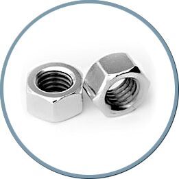 Hex Nut