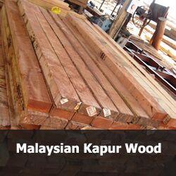 Kapur Wood