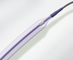 Fox Sv Pta Catheter