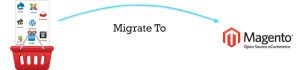 Magento Migration Services