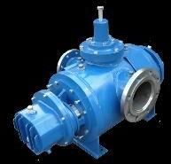 Rotary Pump