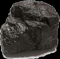 Bituminous Coal