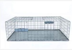 Pigeon Trap Cage