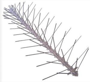 Stainless Steel Bird Spikes