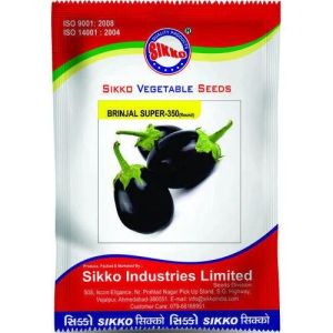 Brinjal Seed