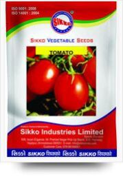 Sikko Tomato