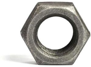 Hex Nut