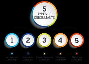 Business Consultant Services