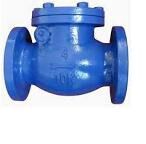 Non Return Valve