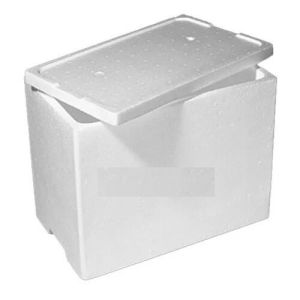 thermocol box