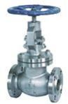 Globe Valves