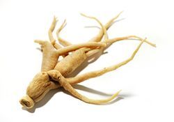 ginseng roots